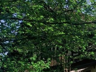 Chalet Lacroix, Fondation Hindemith, Blonay, Suisse
